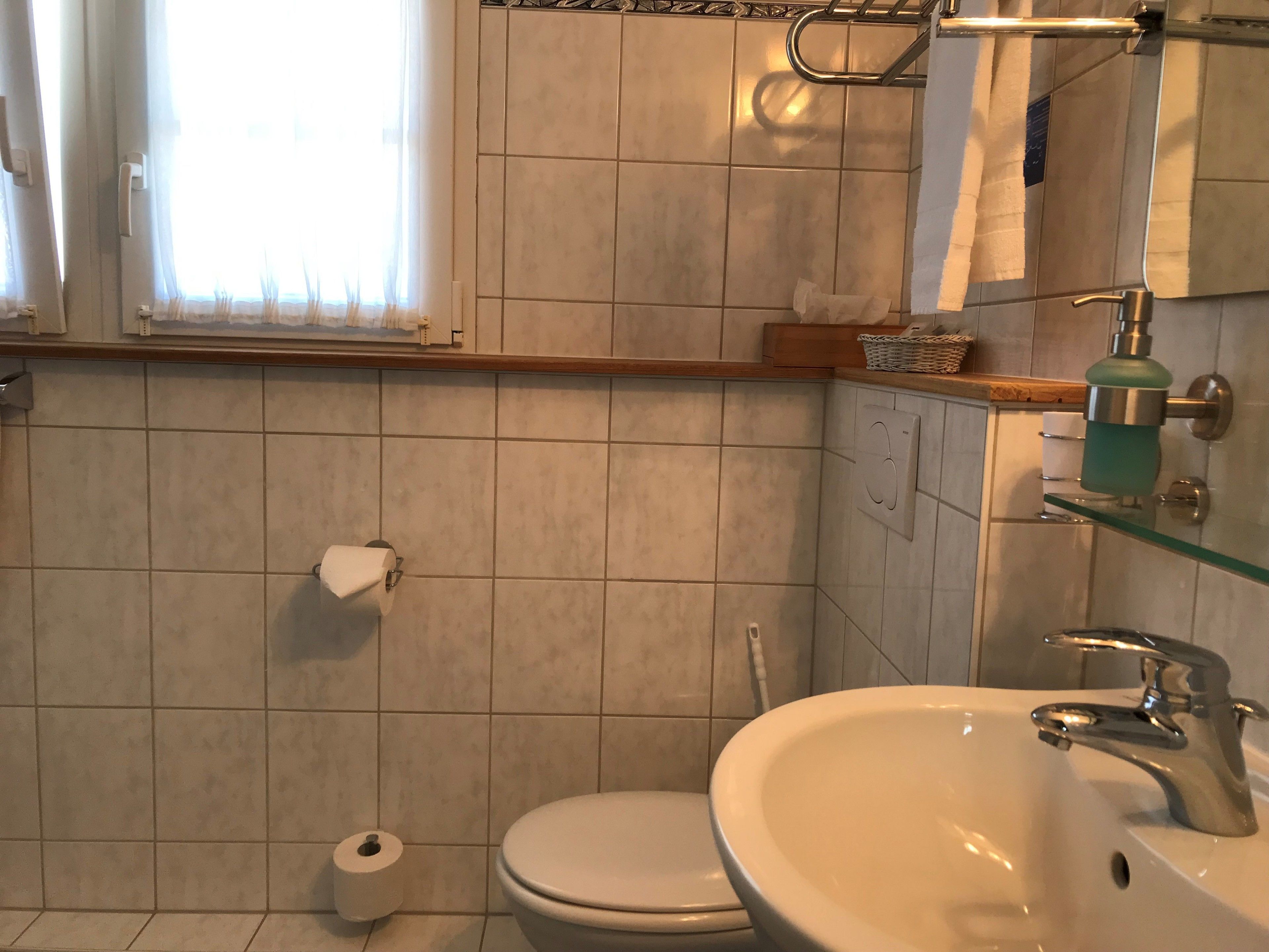 A bathroom with a toilet, a sink, and a shower area.