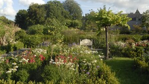 Un jardin agrémenté de diverses fleurs et muni d’un banc.