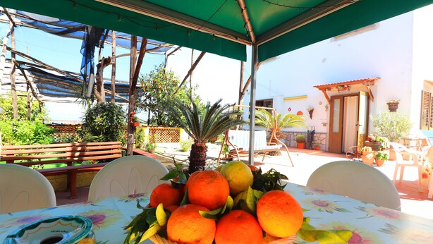 A table with a basket of oranges and lemons, a chair, and a tablecloth with a floral pattern. - B&B La Maison De Titty & Margy (Piano di Sorrento)