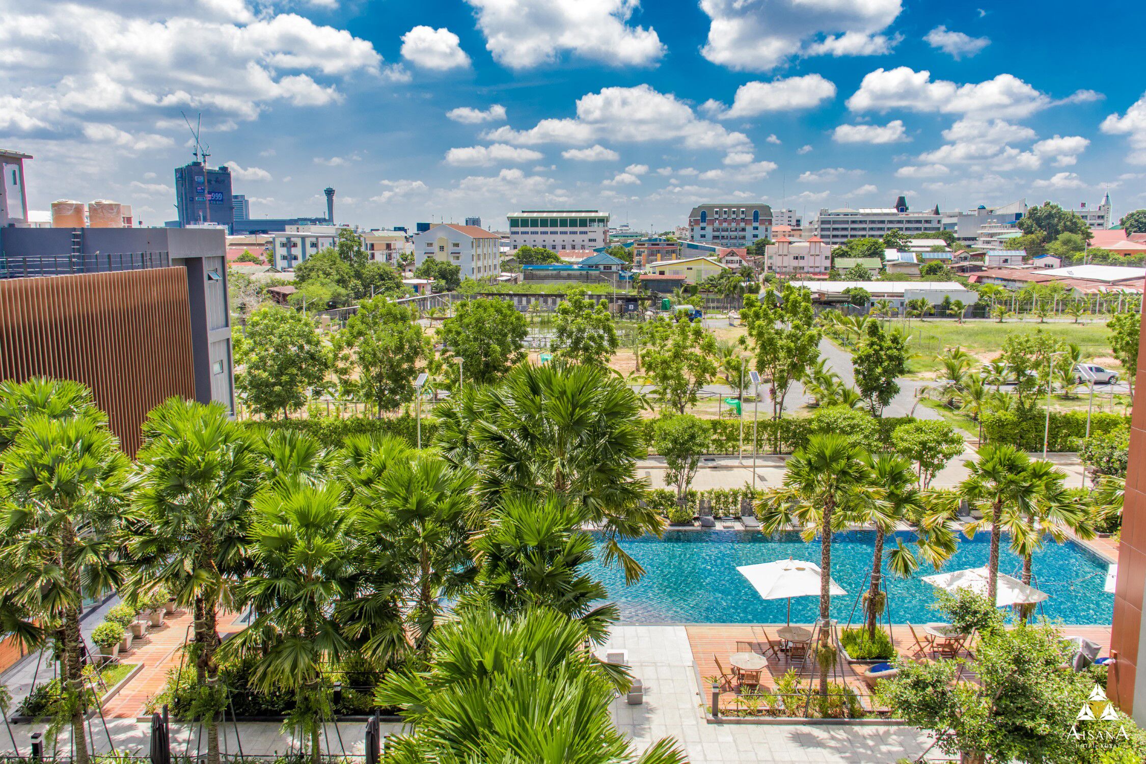 A rooftop pool area with palm trees, lounge chairs, and a view of the city skyline.