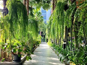 Un étroit sentier bordé de plantes et d’arbres verdoyants, qui mène à un bâtiment moderne doté de grandes fenêtres.