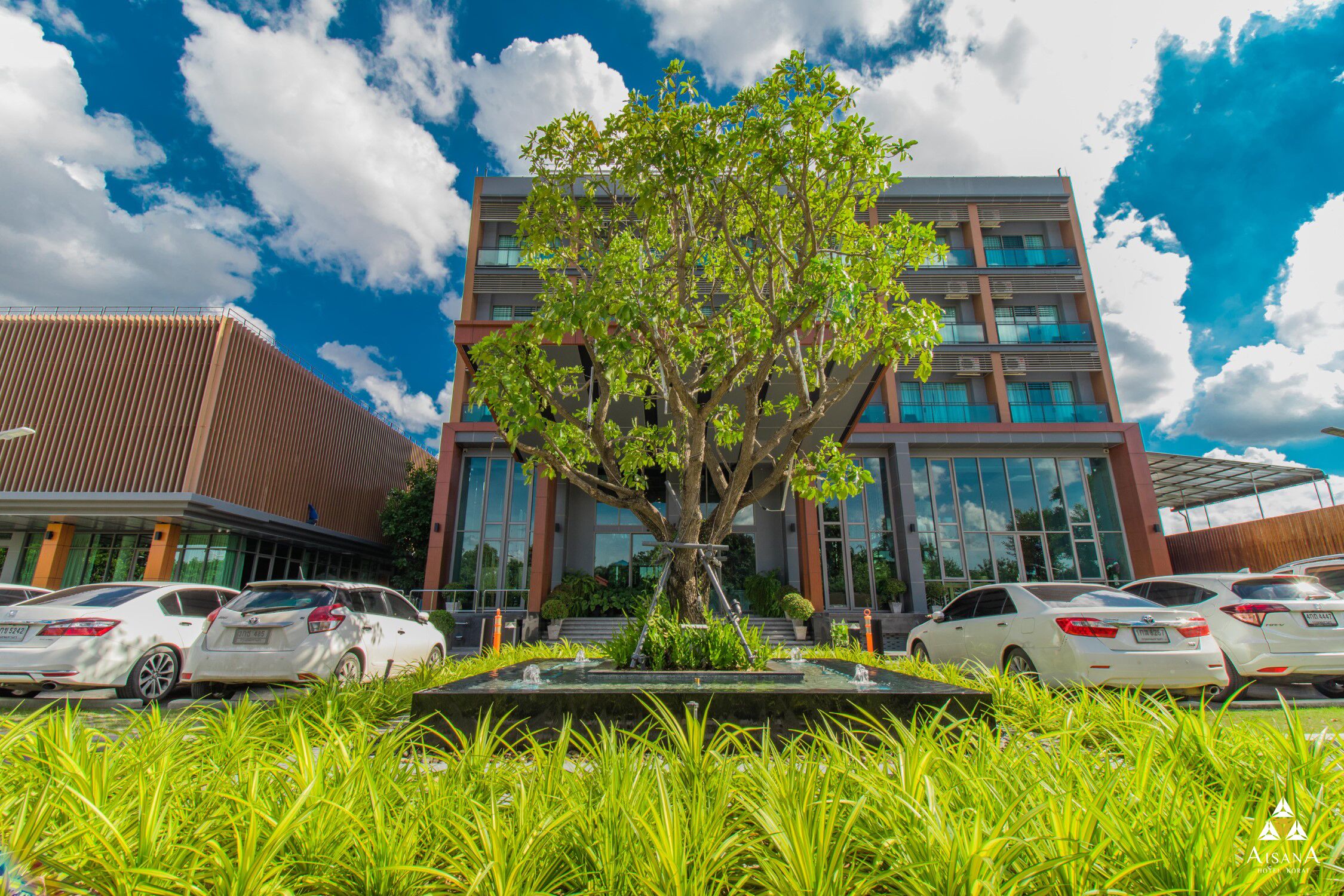 A modern building with a large tree in front, surrounded by parked cars and lush greenery.