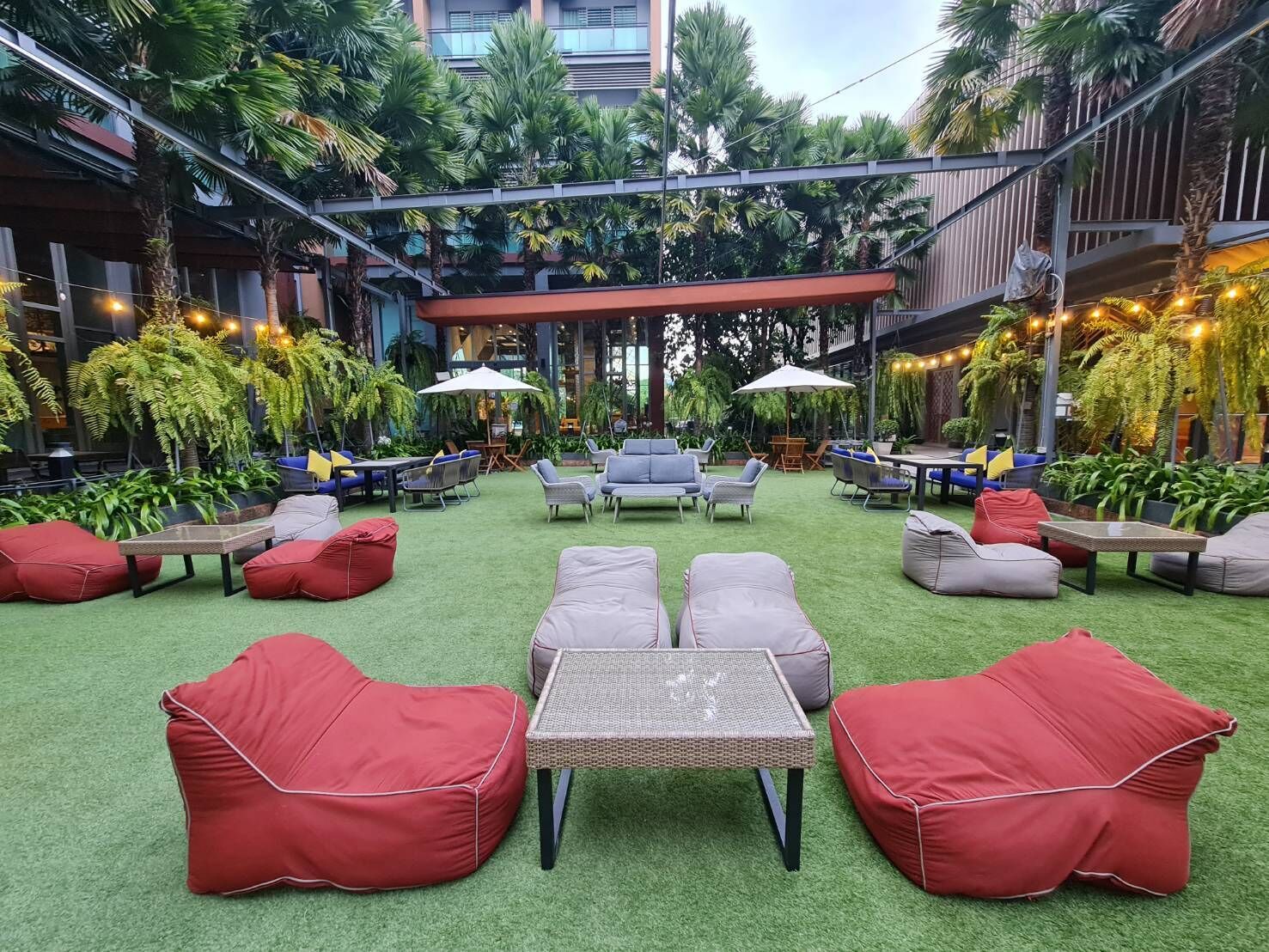 43-英寸纯平电视 （配备有线频道）、电视