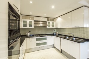 Superior Apartment | Private kitchen | Fridge, microwave, oven, stovetop - Attic Panoramic View R&R (Venice)