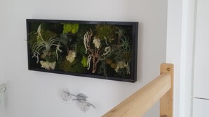 A wall-mounted terrarium with various plants and mosses. - Gîtes Les COSTANS & A Proximité plages 800M & Commerces 300M (Perros-Guirec)