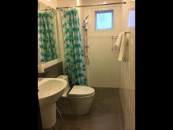 Une salle de bain avec douche, toilettes et lavabo.