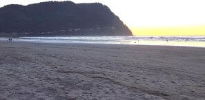 Beach nearby, sun loungers