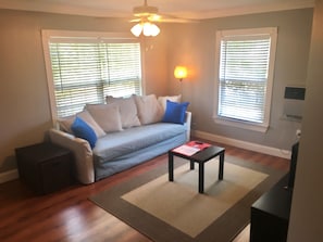Smart TV, DVD player, books
