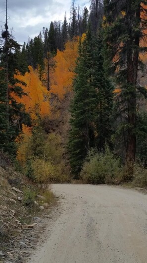 Property grounds - Luxury Silverthorne Retreat - Panoramic Mountain & Lake Views, Hot Tub & Gazebo (Silverthorne)