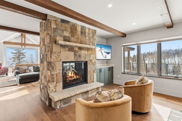 Smart TV, chimenea, libros y monitor de computadora 