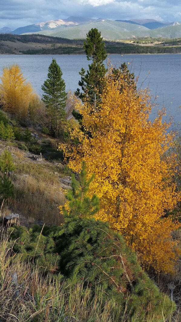 Property grounds - Luxury Silverthorne Retreat - Panoramic Mountain & Lake Views, Hot Tub & Gazebo (Silverthorne)