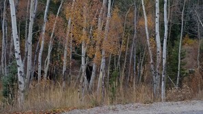 Property grounds - Luxury Silverthorne Retreat - Panoramic Mountain & Lake Views, Hot Tub & Gazebo (Silverthorne)