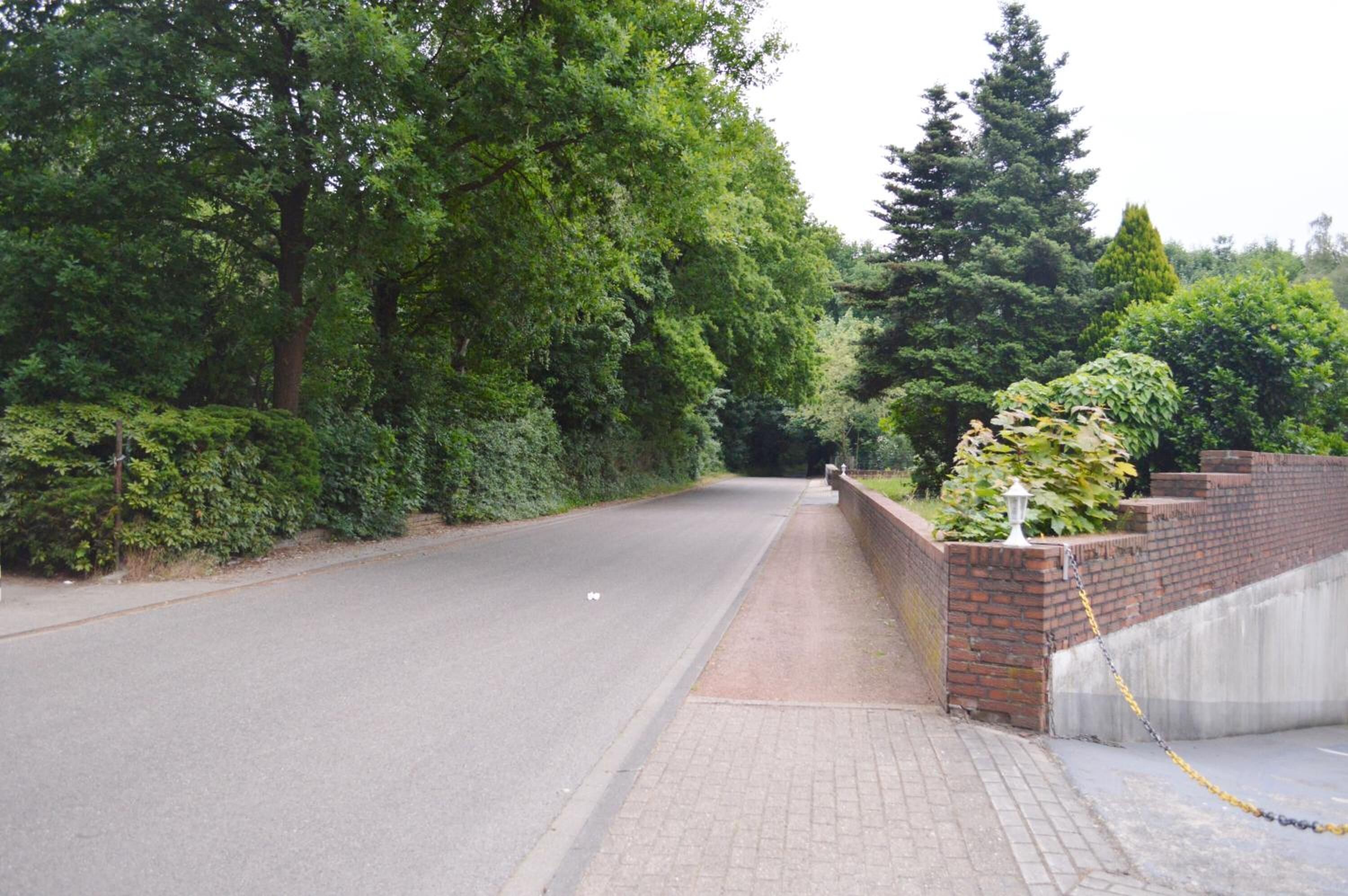 Un chemin pavé longe une route bordée d’une végétation luxuriante et d’arbres.