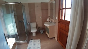Ein Badezimmer mit Duschkabine aus Glas, Toilette, Waschbecken und Holztür.