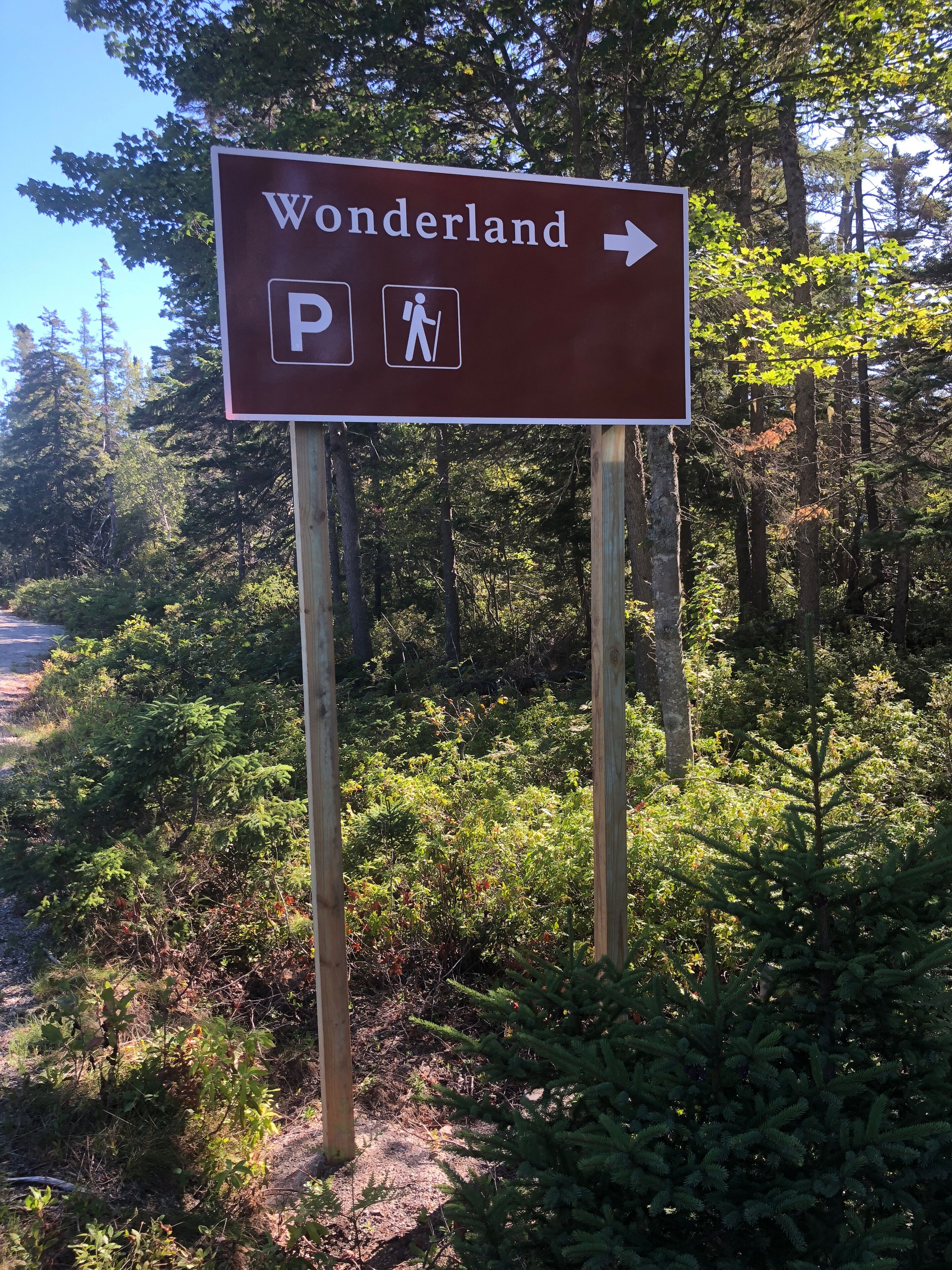 A directional sign for Wonderland with a parking symbol and a walking symbol.