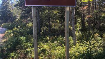 A directional sign for Wonderland with a parking symbol and a walking symbol.