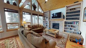 Televisión, chimenea y libros