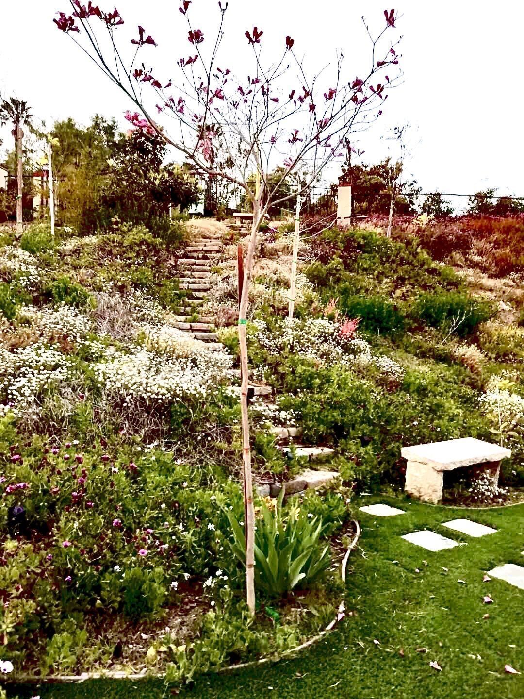 Un jardín con un banco de piedra, un poste de madera y diversas plantas.