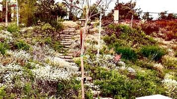 Un jardín con un banco de piedra, un poste de madera y diversas plantas.