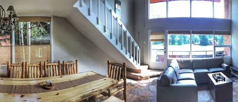 TV, fireplace, books