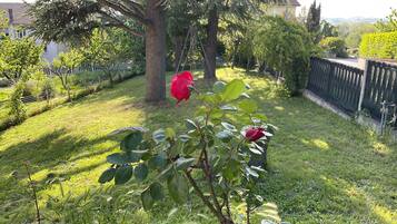 Escape to a serene oasis with a well-maintained lawn and lush trees, surrounded by a fence.