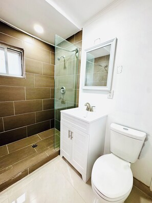 Combined shower/tub, hair dryer, towels, soap
