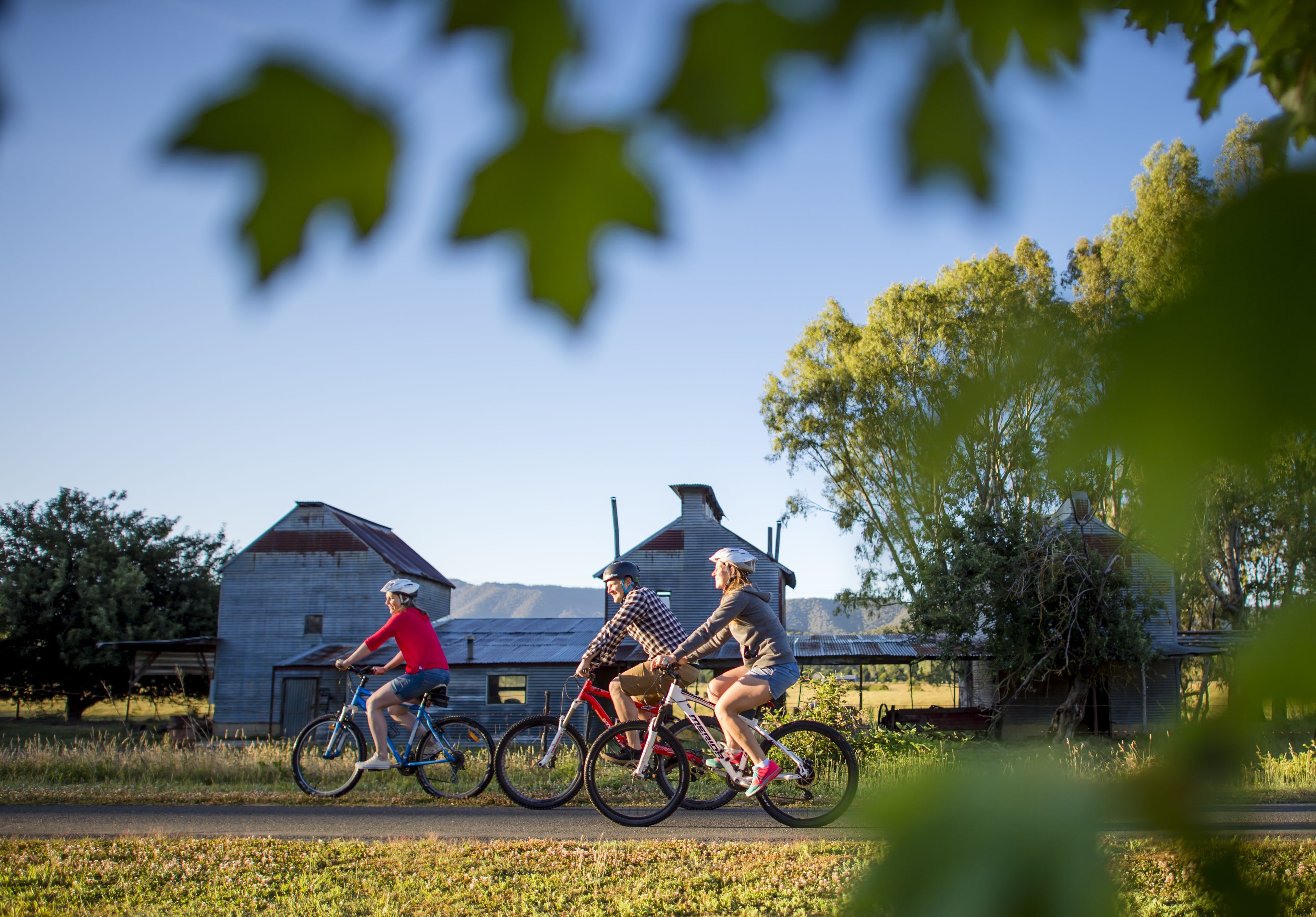 Two people riding bicycles on a rural road with a barn and trees in the background.