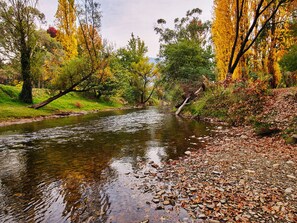 A river with clear water, surrounded by trees with autumn foliage. - Northbank House (Bright)