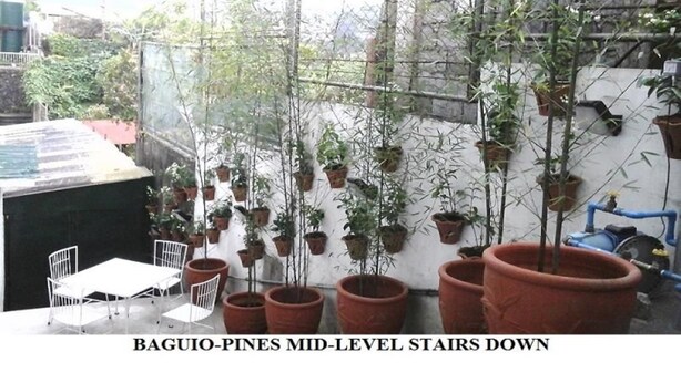 Property grounds - Agreeable Family Baguio Suites (Baguio)