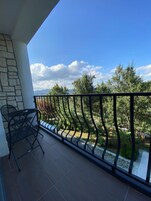 Economy Room, 1 Bedroom, Mountain View | Terrace/patio