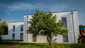 A modern building with a flat roof, large windows, and a tree in the foreground.