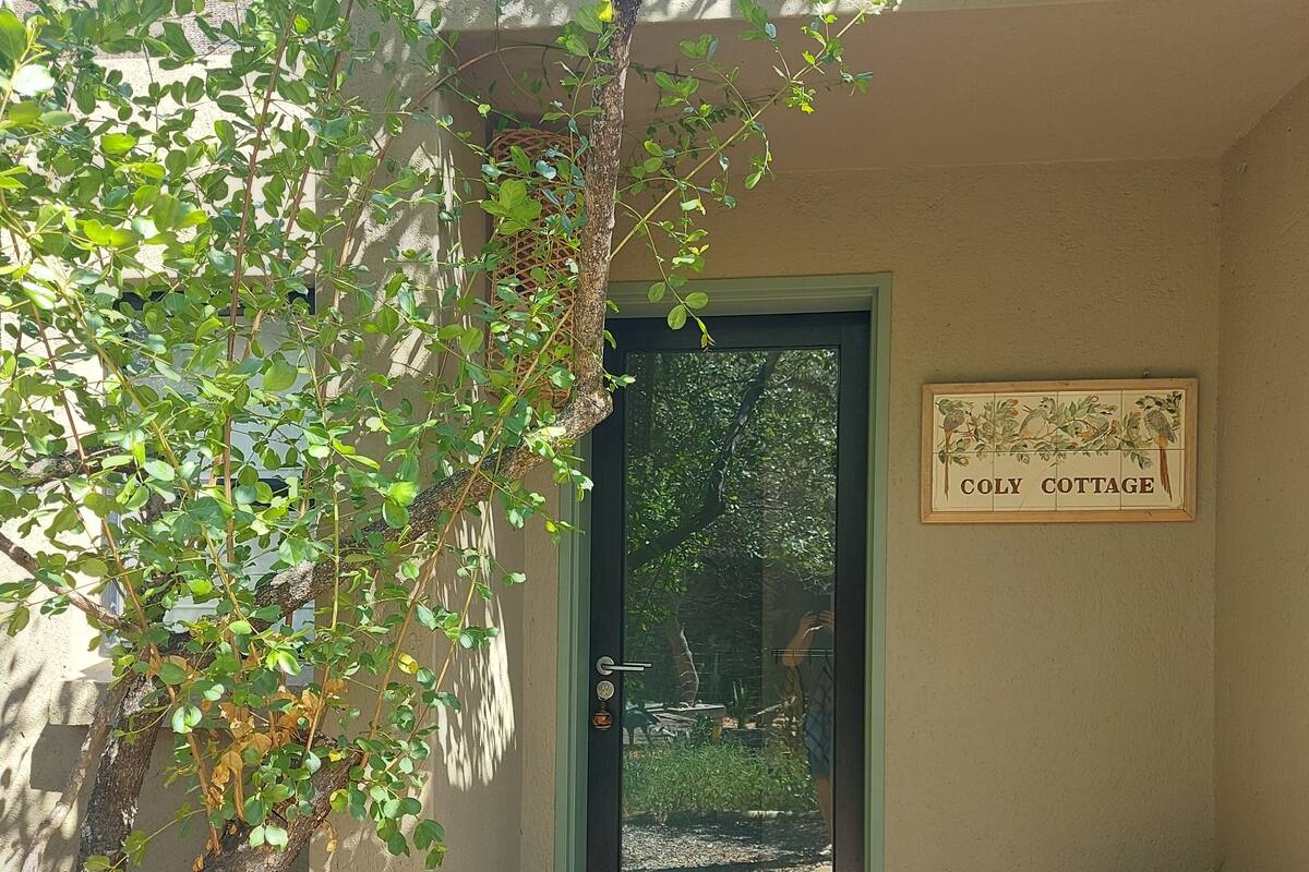 A door with a sign reading "Coly Cottage" and a small planter with plants beside it.