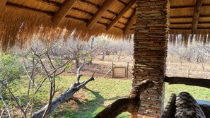 Exterior detail - Call of the Wild Lodge (Hoedspruit)