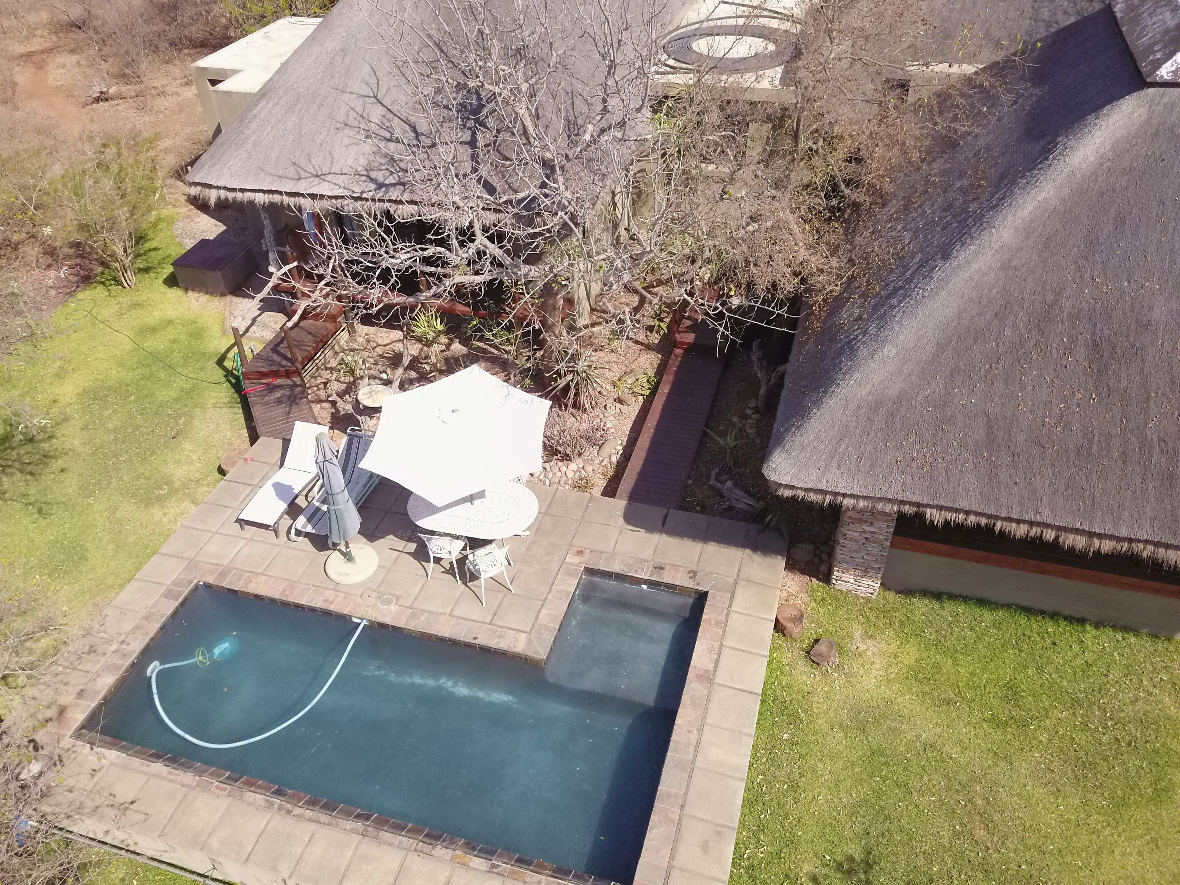 A residential property with a swimming pool, patio furniture, and a thatched-roof structure.