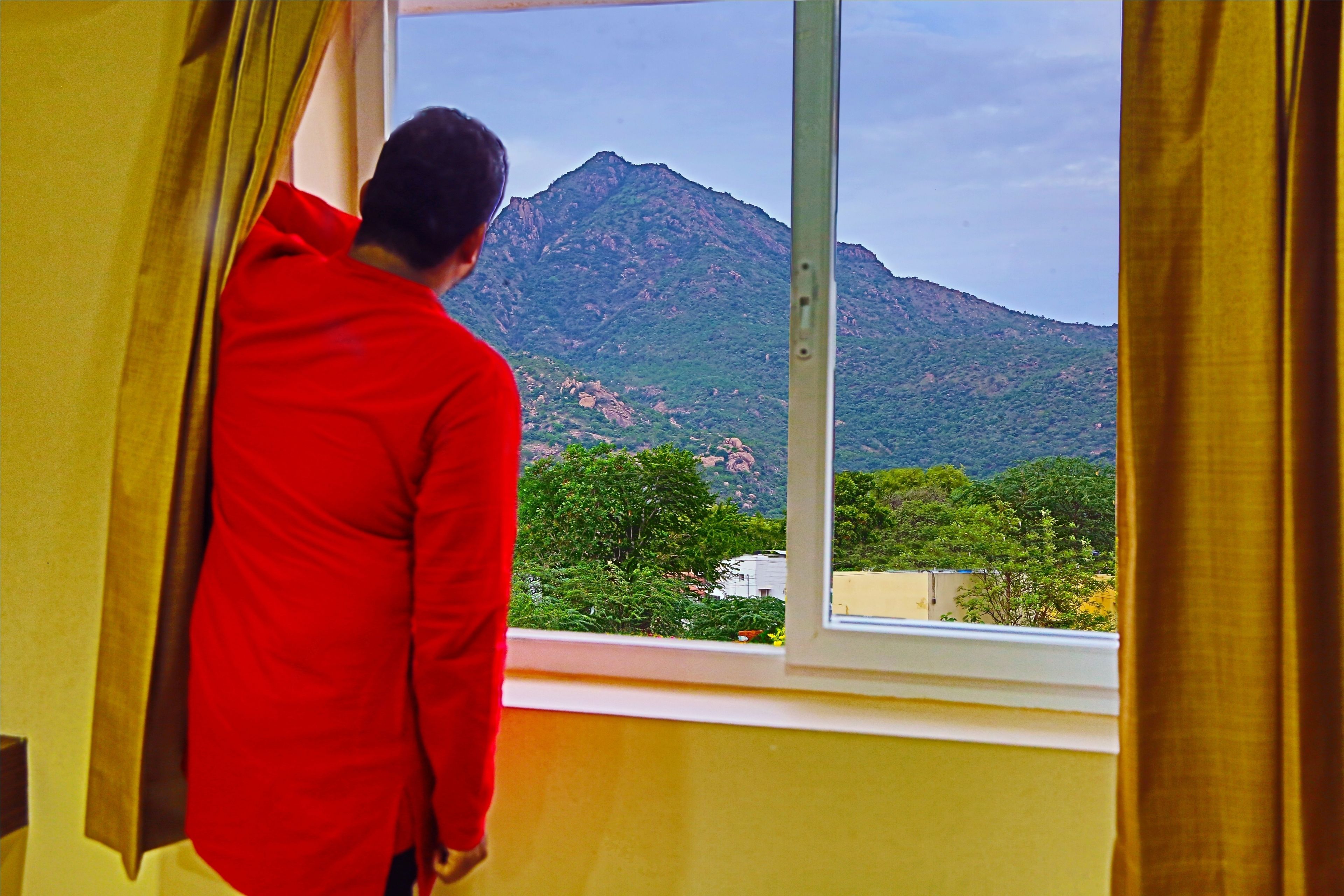 premium room, non smoking | mountain view