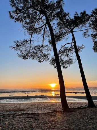 Una playa cerca