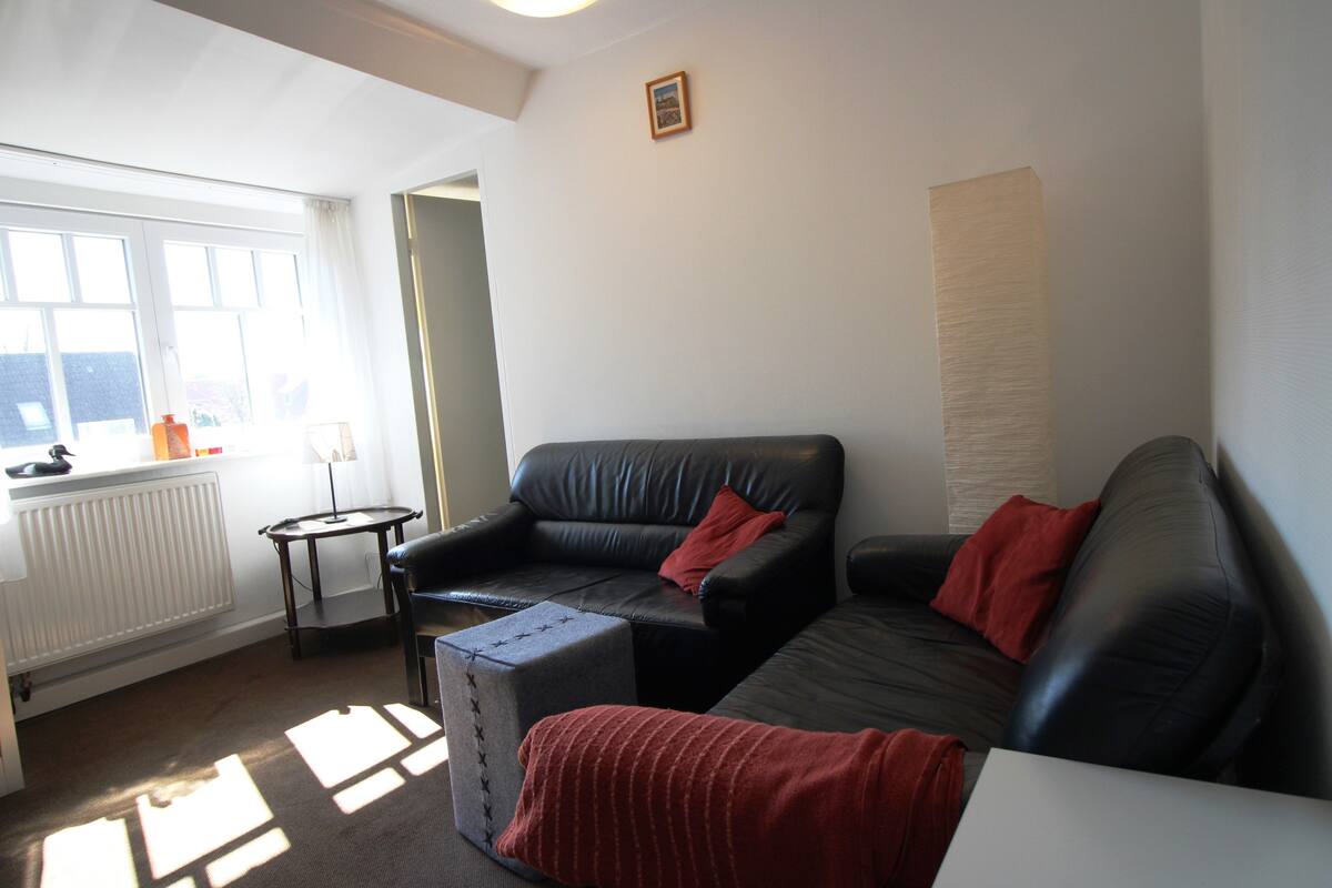 A living room with a black leather sofa, a small table, and a radiator.
