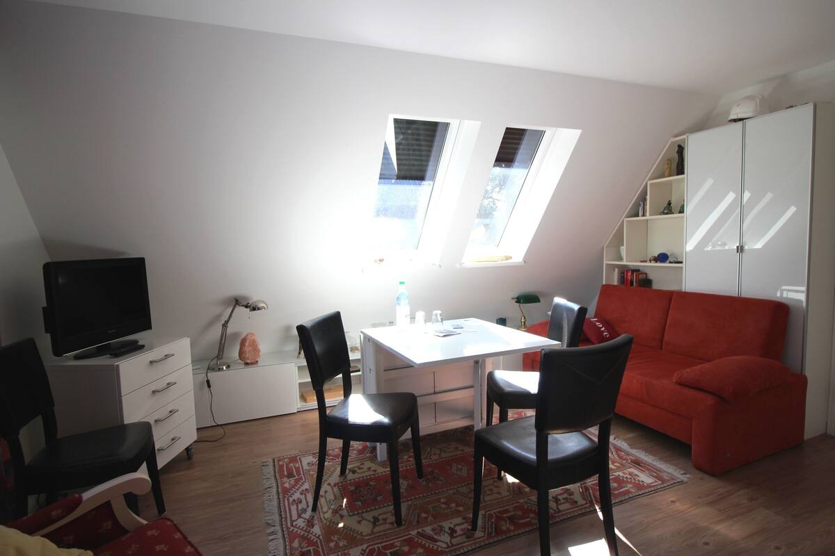 A compact living space with a dining table, two chairs, a red sofa, a TV on a cabinet, and a skylight.