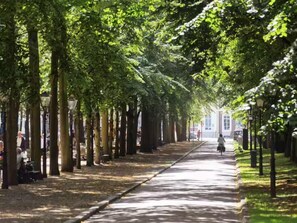 A tree-lined pathway with benches and lampposts, leading to a building with large windows. - Nordseka hotel The Hague Voorburg (Voorburg)