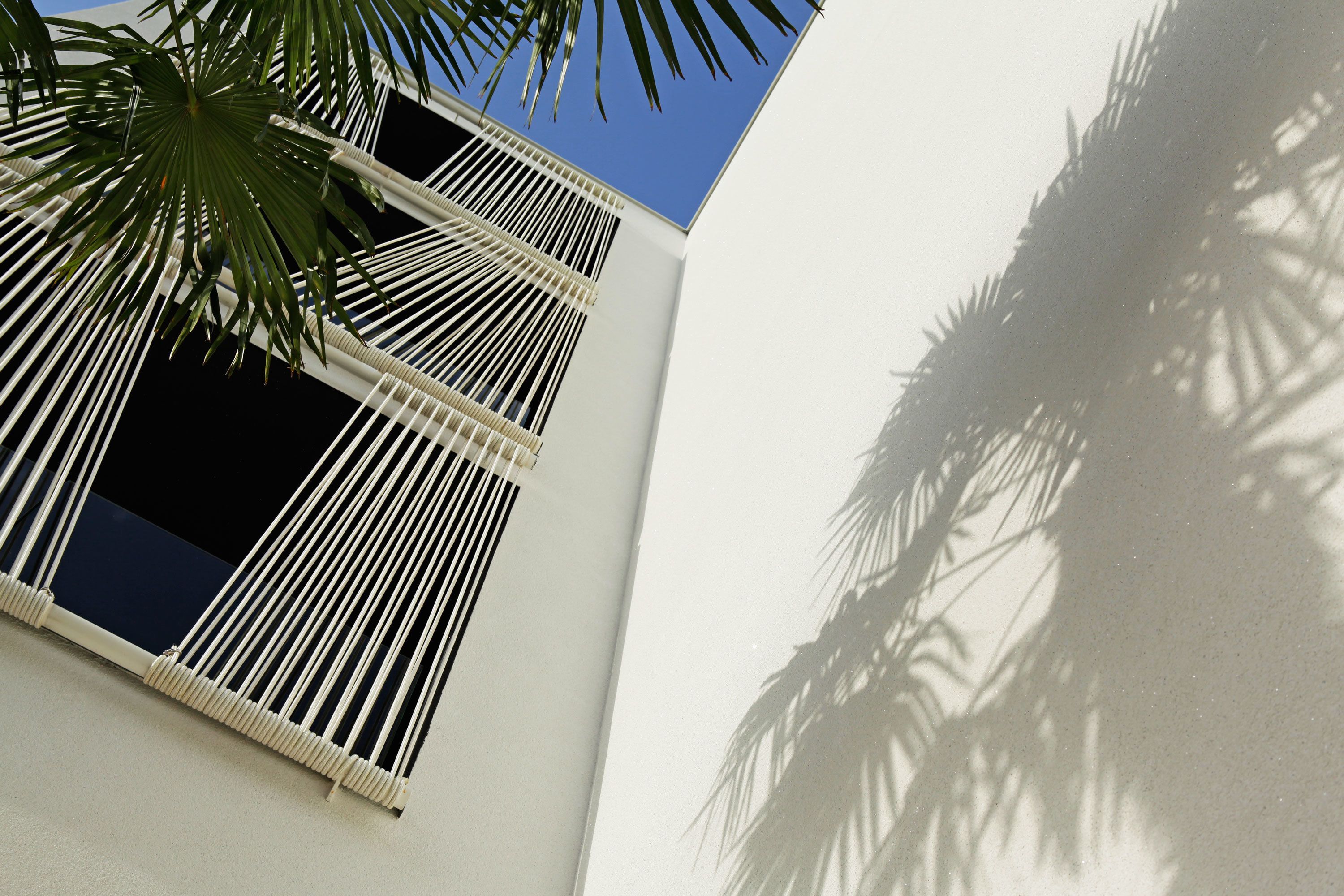 Un edificio con fachada blanca, una ventana con persianas verticales y una palmera en primer plano.