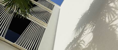 Un edificio con fachada blanca, una ventana con persianas verticales y una palmera en primer plano.