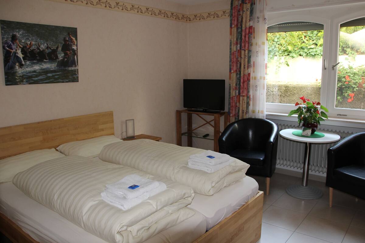 A hotel room with a bed, a television on a stand, a small table with a plant, and a window with a view of greenery.