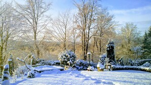 Un jardín cubierto de nieve, árboles desnudos y un seto.