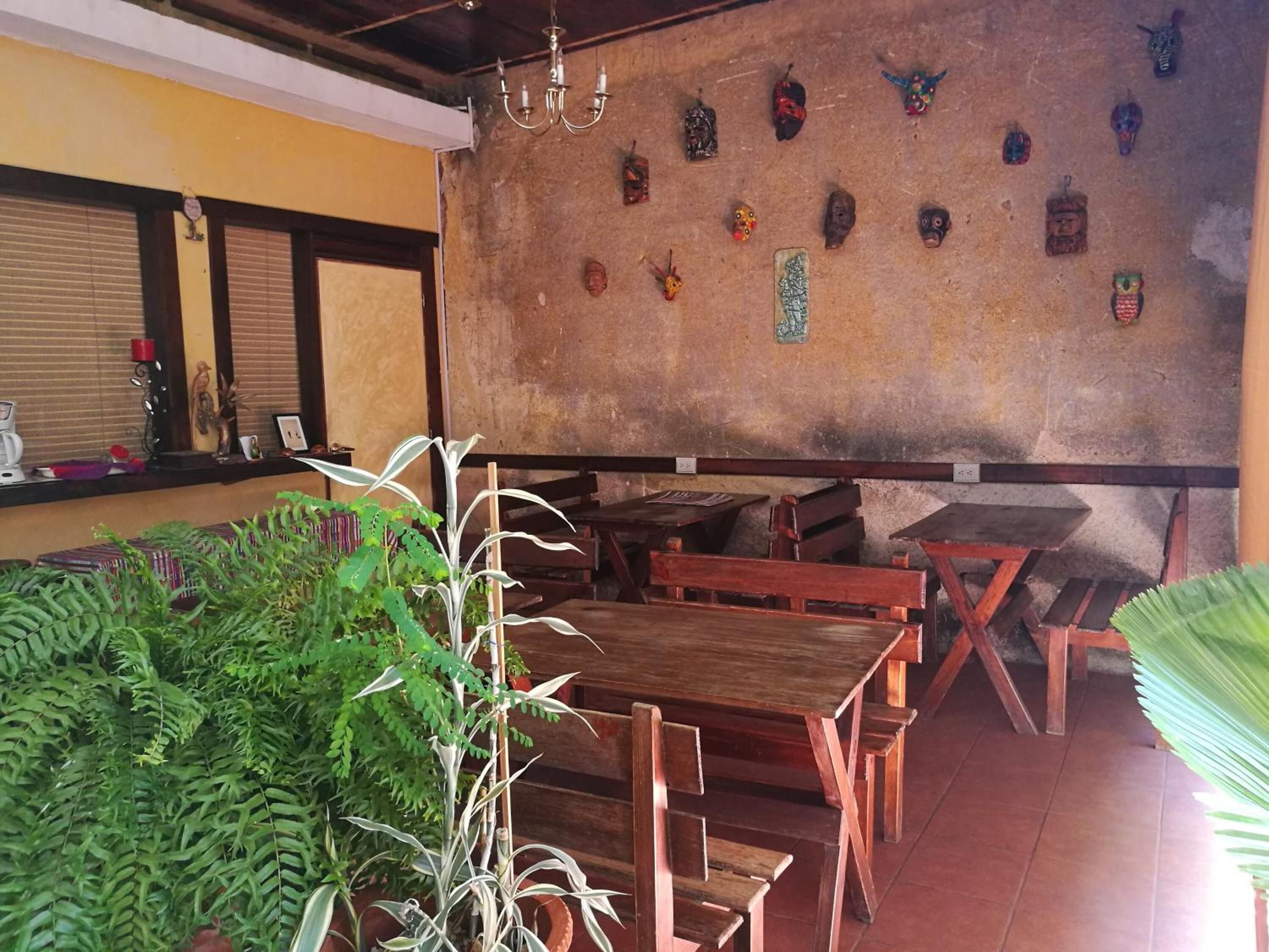 Un restaurante con mesas y bancos de madera, una pared decorada con varios adornos, y plantas en macetas.