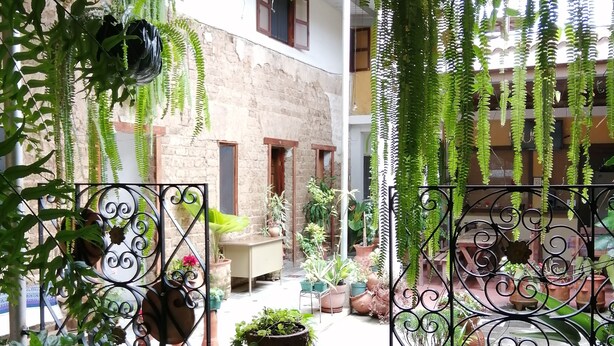 A courtyard with hanging plants, a wooden stool, and potted plants.