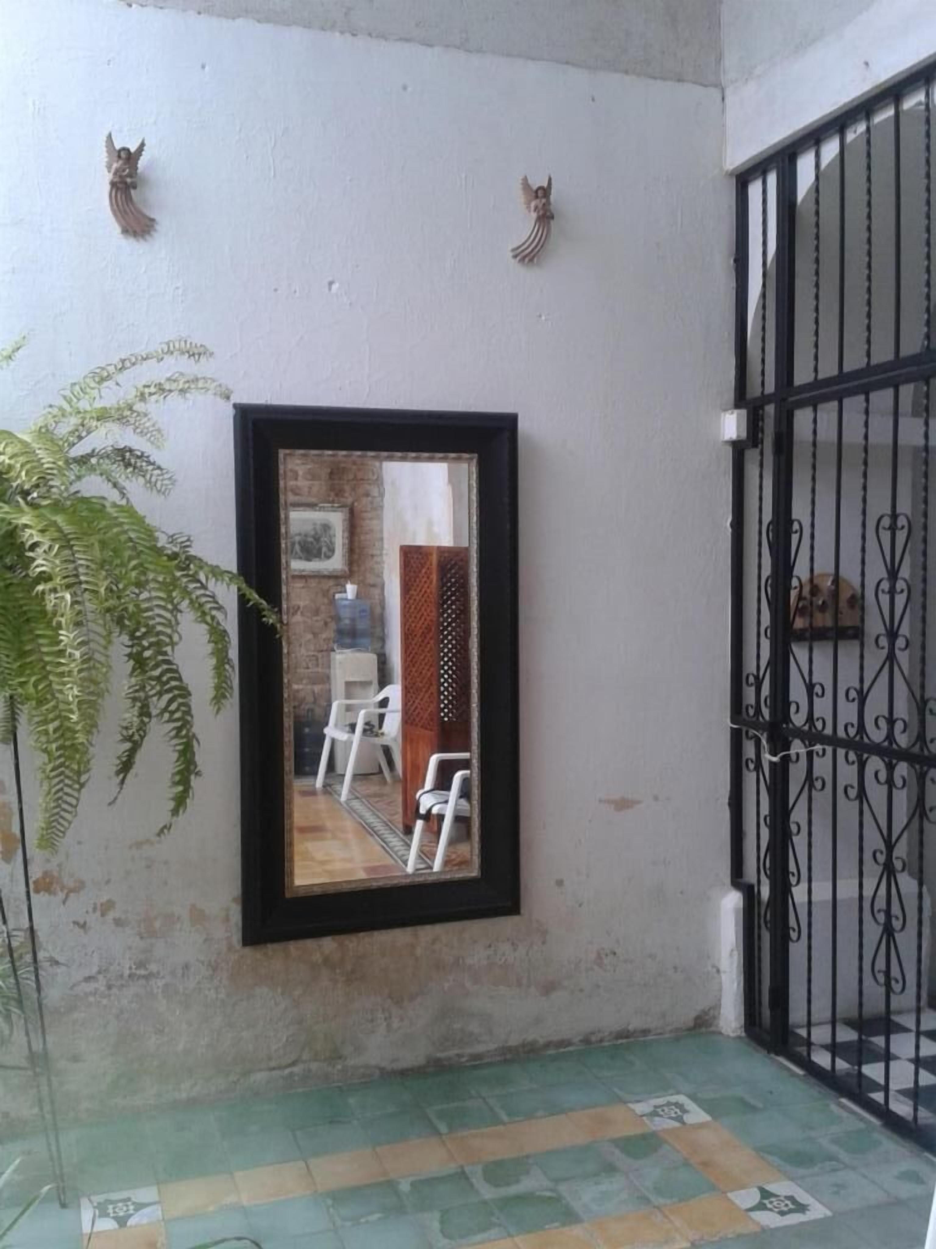 A room with a tiled floor, a black-framed mirror, a potted plant, and a black metal gate.