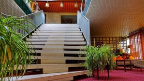 Una escalera conduce a una habitación con alfombra roja estampada, escalones de madera y plantas en macetas.