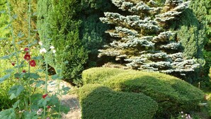 A well-maintained garden with neatly trimmed hedges, a variety of plants, and a stone pathway. - La Rose Tremiere (Wintzenheim-Kochersberg)