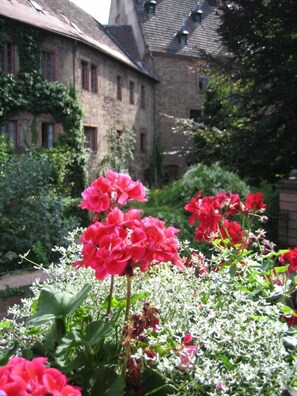 Property grounds - Hotel Wappenstube (Erbach)