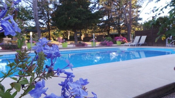 Outdoor pool, sun loungers